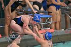 Swim vs Bentley  Wheaton College Swimming & Diving vs Bentley University. - Photo by Keith Nordstrom : Wheaton, Swimming & Diving